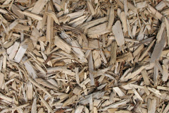 biomass boilers Farthingloe